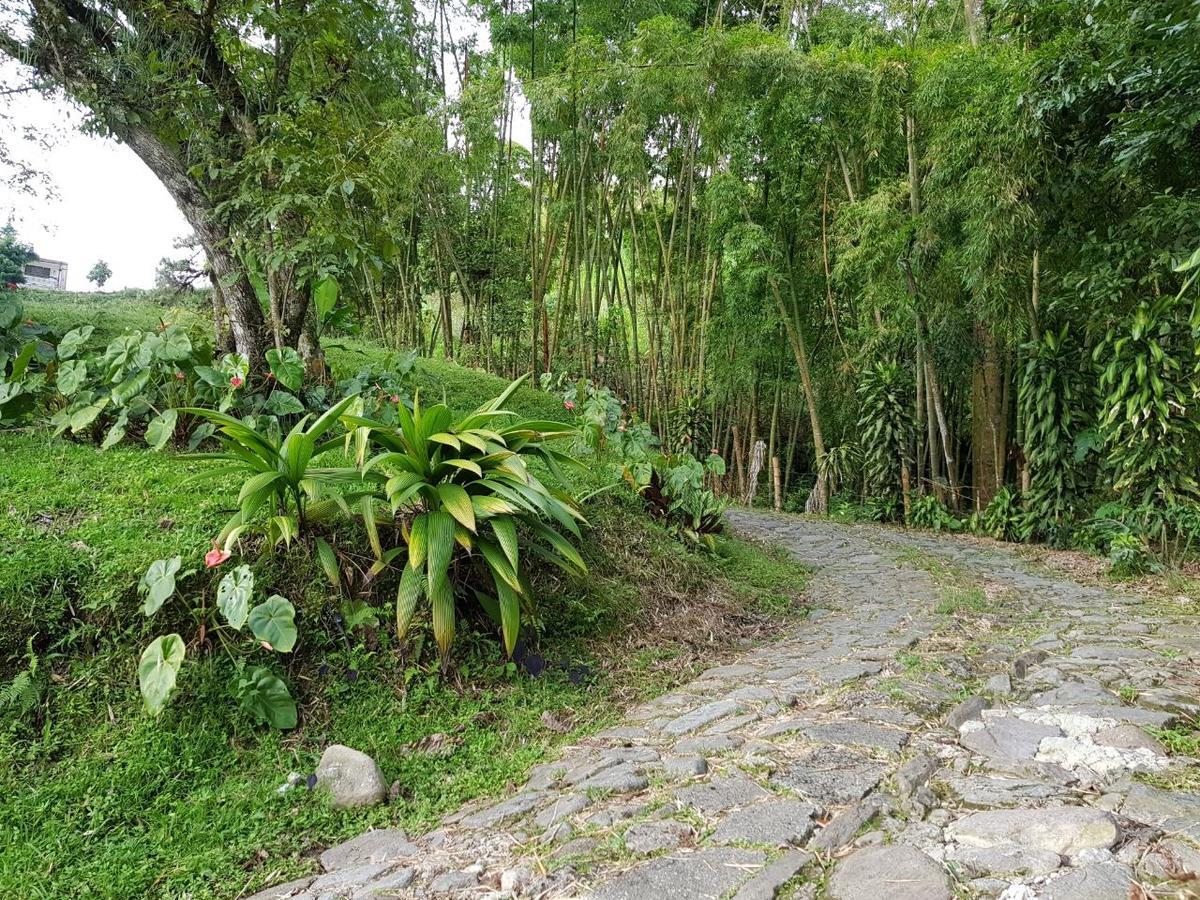 Lodge Paraiso Verde La Linda ภายนอก รูปภาพ